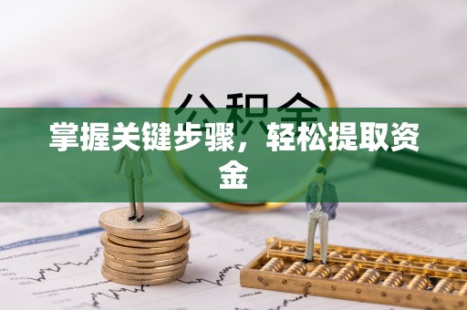 简阳掌握关键步骤，轻松提取资金