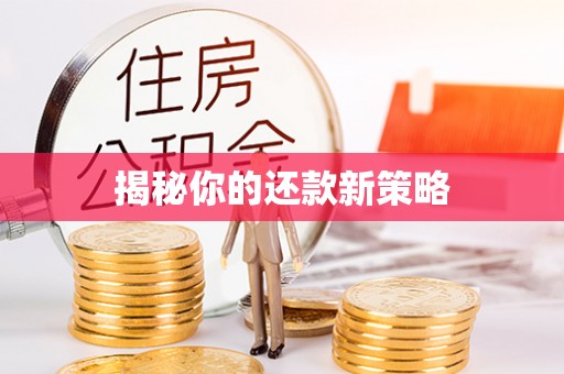 简阳揭秘你的还款新策略