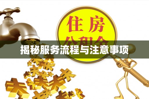 简阳揭秘服务流程与注意事项