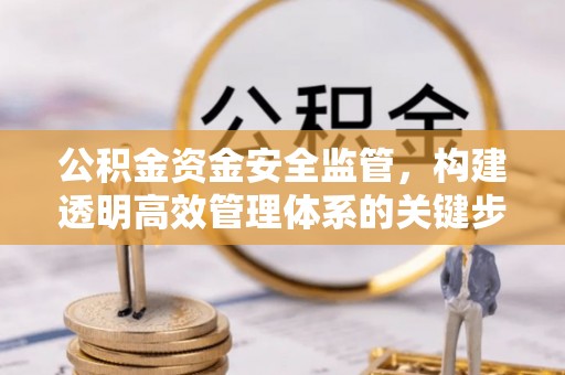 简阳公积金资金安全监管，构建透明高效管理体系的关键步骤