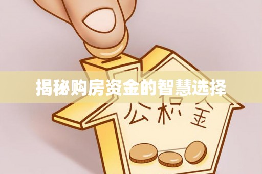 简阳揭秘购房资金的智慧选择