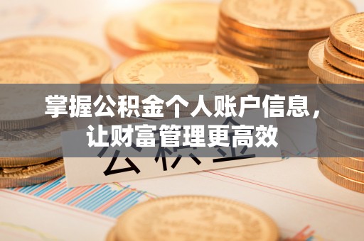 简阳掌握公积金个人账户信息，让财富管理更高效