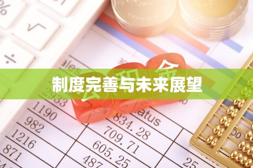 简阳制度完善与未来展望