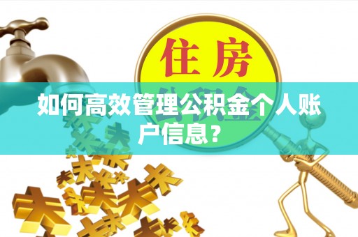 简阳如何高效管理公积金个人账户信息？