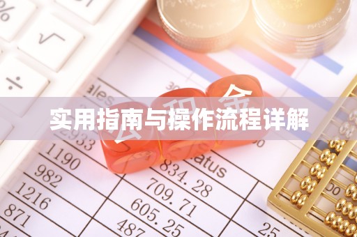 简阳实用指南与操作流程详解
