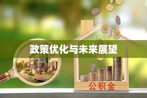 简阳政策优化与未来展望