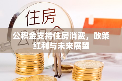 简阳公积金支持住房消费，政策红利与未来展望