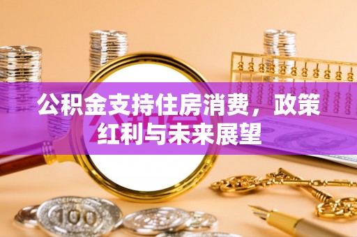 简阳公积金支持住房消费，政策红利与未来展望