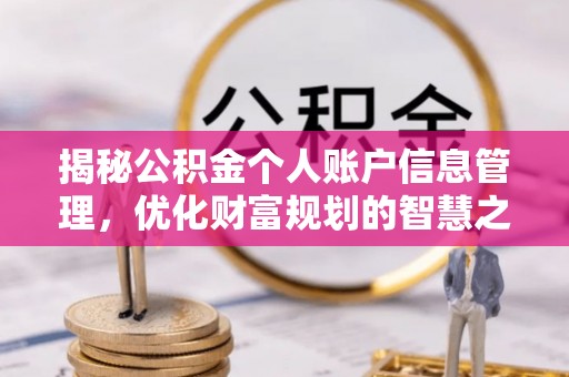 简阳揭秘公积金个人账户信息管理，优化财富规划的智慧之选