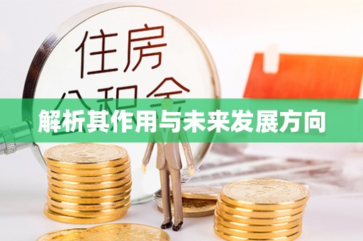 简阳解析其作用与未来发展方向