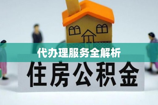 简阳代办理服务全解析