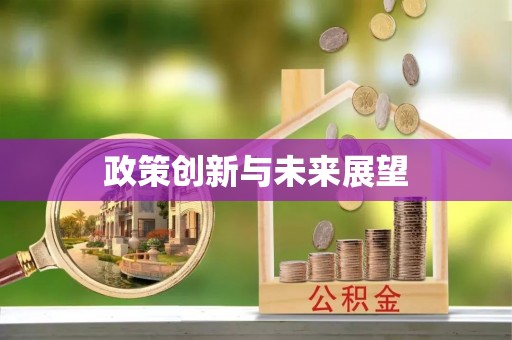 简阳政策创新与未来展望